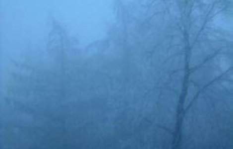 Ceata pune stapanire pe Romania: Curse anulate.