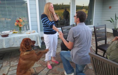  Top  Asa stapan, asa animal de companie: 10+ imagini care surprind clar ase