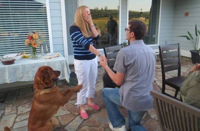 Asa stapan, asa animal de companie: 10+ imagini care surprind clar asemanarile