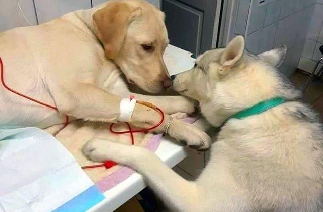 10+1 fotografii care ofera speranta si nu te lasa nicio clipa sa iti pierzi increderea