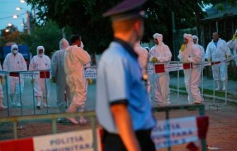 Numarul cazurilor de gripa porcina din Romania a ajuns la 46