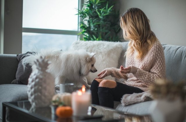 Nu stiai ca pot face asta:  10+ lucruri uimitoare de care cainii sunt capabili