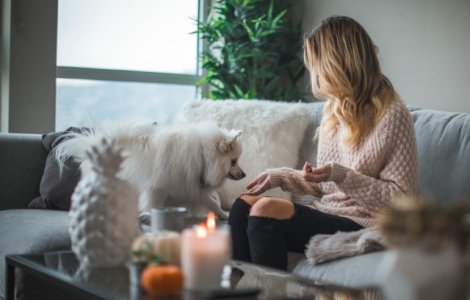  Top  Nu stiai ca pot face asta: 10+ lucruri uimitoare de care cainii sunt