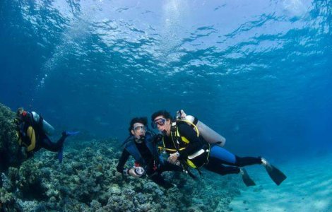 Marea Bariera de Corali: Ultimii 20 de ani de viata?