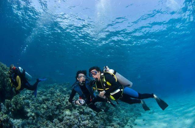 Marea Bariera de Corali: Ultimii 20 de ani de viata?