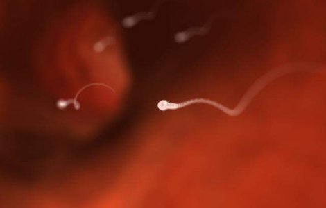 Premiera mondiala: A fost creata sperma umana in laborator