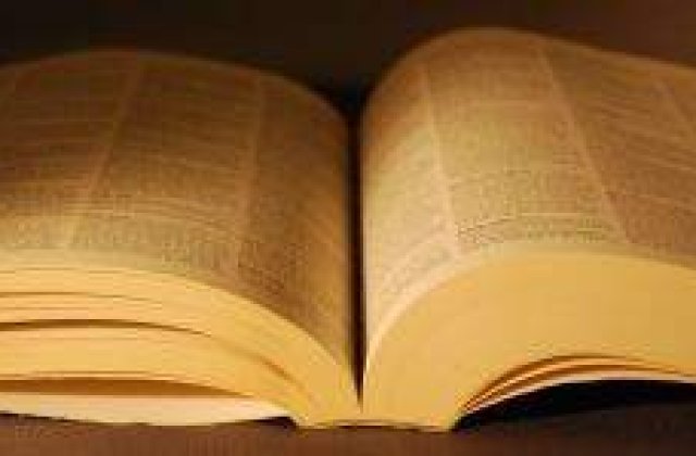 Pagini Aurii intra in faliment