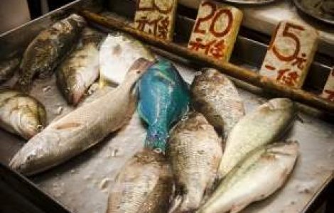 BNR: Scumpiri in lant pana in vara anului viitor