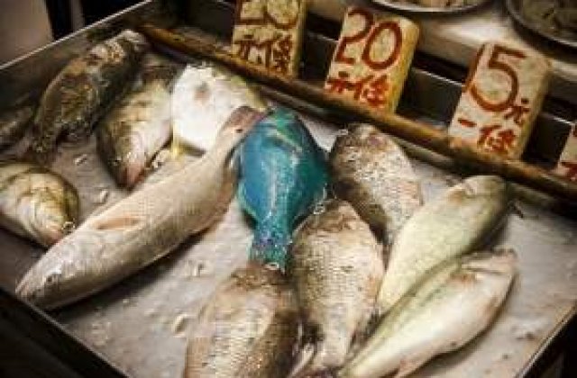 BNR: Scumpiri in lant pana in vara anului viitor