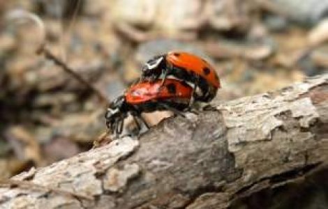 Premiile "Bad Sex": In cautarea celei mai proaste scene de sex a anului