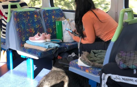  Top  10 situatii din mijloacele de transport in comun care ar infuria pe or