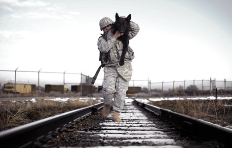  Top  10 imagini care ar putea indupleca si cele mai dure persoane