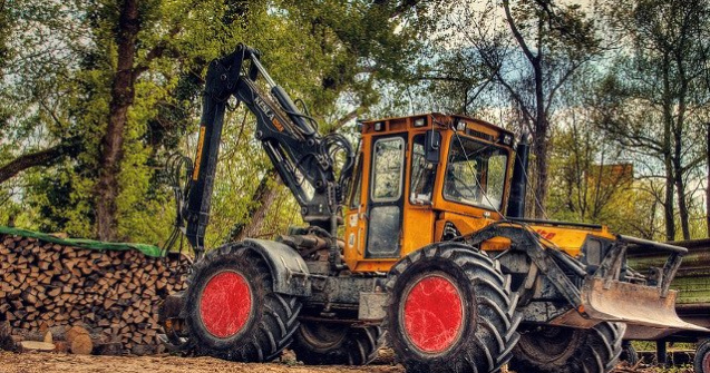 Un barbat de 76 de ani a fost gasit mort in padure