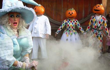 Caut vrajitoare. Ofer 55.000 de euro pe an!