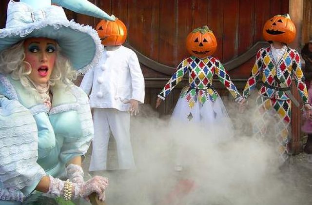 Caut vrajitoare. Ofer 55.000 de euro pe an!