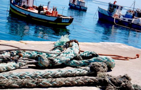 Firmele bulgaresti protesteaza dupa ce Romania a majorat tarifele de acostare la porturile dunarene