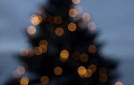 Festivalul Brazilor de Craciun - Evenimentul caritabil al anului 2012