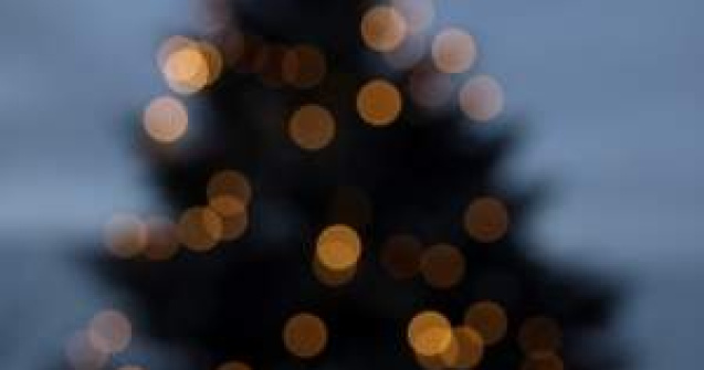 Festivalul Brazilor de Craciun - Evenimentul caritabil al anului 2012