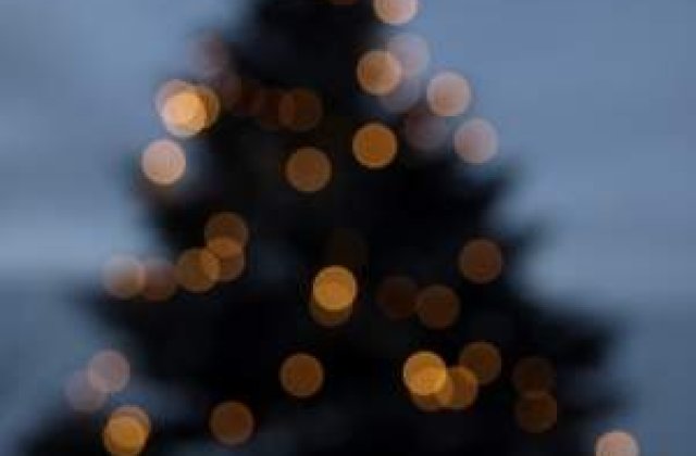 Festivalul Brazilor de Craciun - Evenimentul caritabil al anului 2012