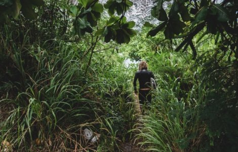 O familie a supravietuit 34 de zile in jungla / VIDEO