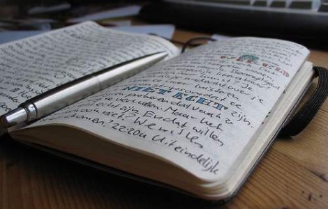 Un tanar roman, cel mai bun eseist la un concurs european