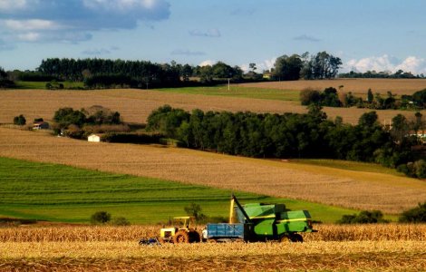 CE deblocheaza pentru Romania 171 mil. euro prin fondurile SAPARD