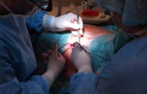 Primul transplant de telocite in infarctul miocardic, realizat experimental in China