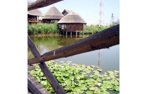 Delta Dunarii, din nou cu acces liber