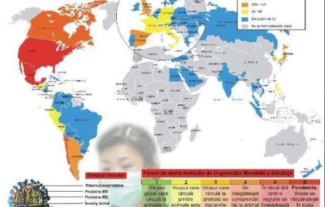 OMS: Virusul gripei porcine nu poate fi oprit