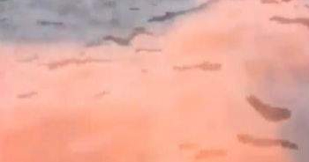 Australia: Un fenomen biologic neobisnuit a inrosit apa unei mari