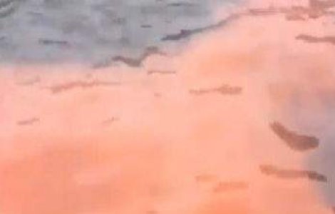 Australia: Un fenomen biologic neobisnuit a inrosit apa unei mari