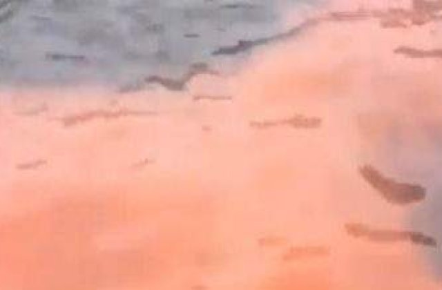 Australia: Un fenomen biologic neobisnuit a inrosit apa unei mari