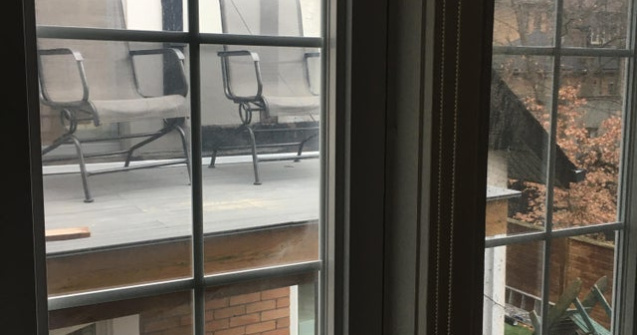  Top  10+ vecini cu care nu te vei plictisi niciodata