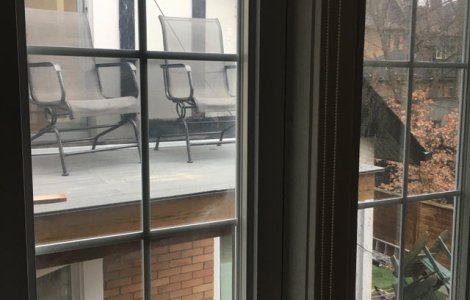  Top  Stiu sa isi faca simtita prezenta: 10+ vecini cu care nu te vei plictisi niciodata