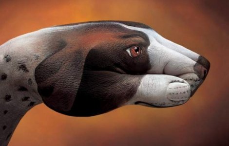 El transforma mainile in animale!