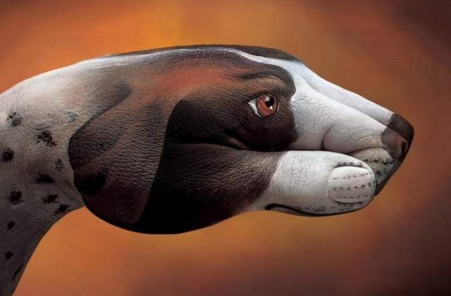 El transforma mainile in animale!