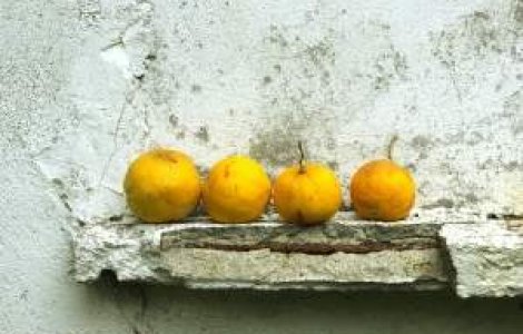 Romanii sunt codasii Europei la consumul de fructe