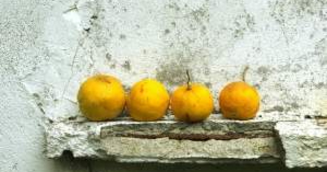 Romanii sunt codasii Europei la consumul de fructe