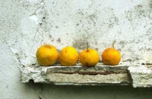 Romanii sunt codasii Europei la consumul de fructe