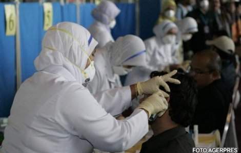 OMS avertizeaza: Virusul gripei porcine are o viteza de propagare fara precedent