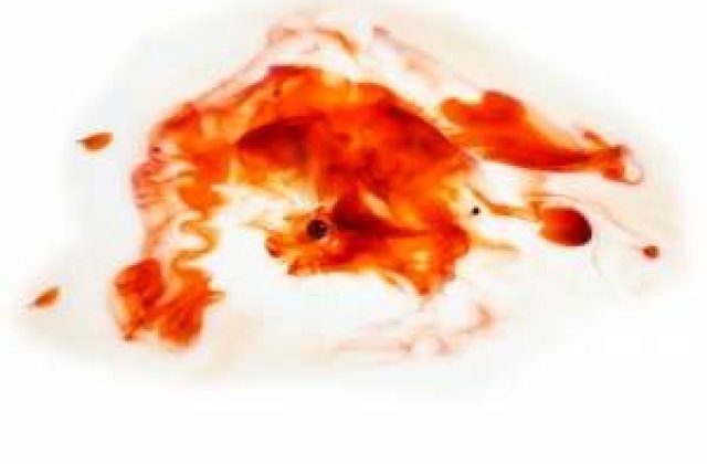 Probe noi impotriva lui Cioaca: Sangele Elodiei, pe tocul pistolului