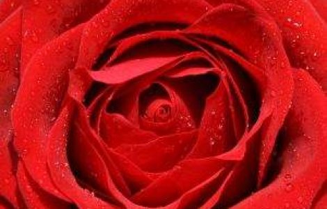 Vrei sa vezi cum arata cel mai sexy pat de hotel din lume?