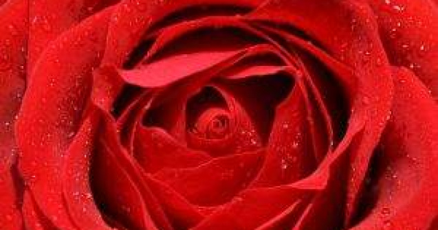 Vrei sa vezi cum arata cel mai sexy pat de hotel din lume?