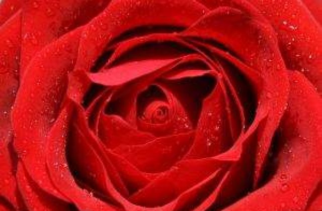 Vrei sa vezi cum arata cel mai sexy pat de hotel din lume?