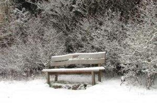 AVERTIZARE: Ninsori in aproape toata tara, incepand de miercuri