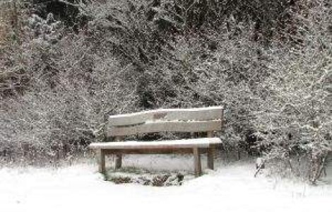 AVERTIZARE: Ninsori in aproape toata tara, incepand de miercuri