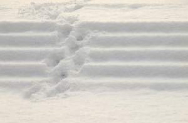 Ninsori puternice in Ucraina: Pene de curent in peste 300 de localitati