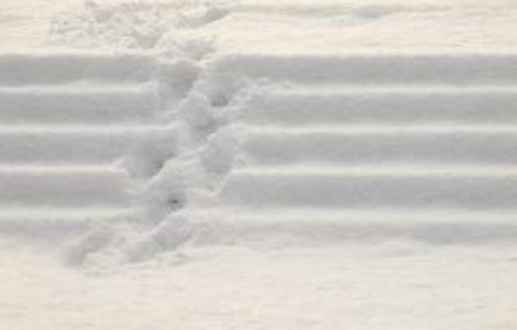 Ninsori puternice in Ucraina: Pene de curent in peste 300 de localitati