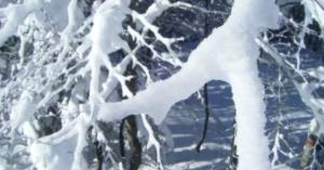 Ninsorile abundente din Rusia continua: Blocaje uriase in trafic