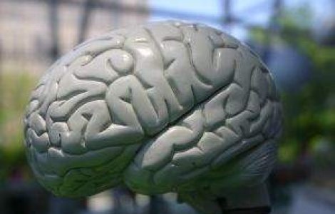Studiu: Stresul duce la micsorarea creierului